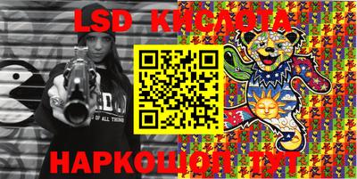 молекула духа Кингисепп