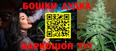 молекула духа Кингисепп