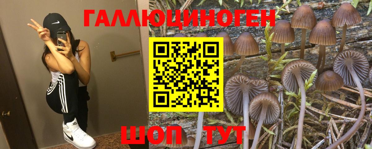 Псилоцибиновые грибы GOLDEN TEACHER Балашов