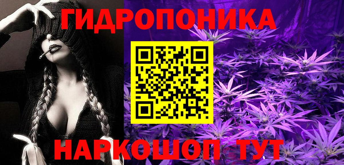 Конопля SATIVA & INDICA  Бошки марихуана AK-47  Балашов  Вход с VPN  Марихуана VHQ 